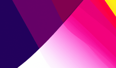 Everything You Need to Know About Raw Diets for Dogs