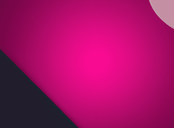 Dog Competitions That Test Intelligence, Speed, and Loyalty