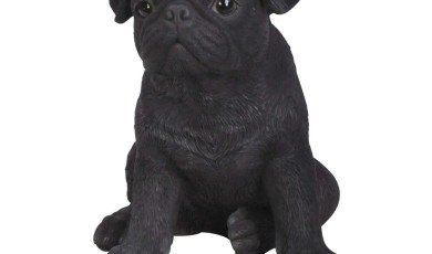 Pugs: What's Good About 'Em, What's Bad About 'Em