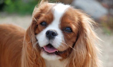 Maintaining Good Health: The Key Components of a Healthy Lifestyle